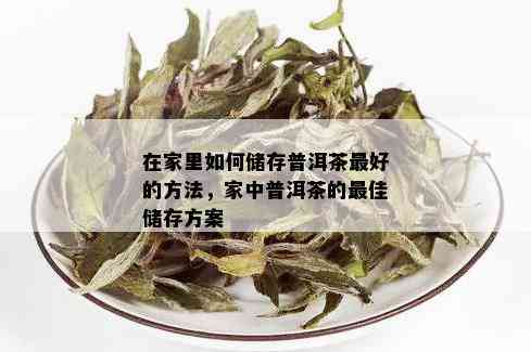 在家里如何储存普洱茶更好的方法，家中普洱茶的更佳储存方案