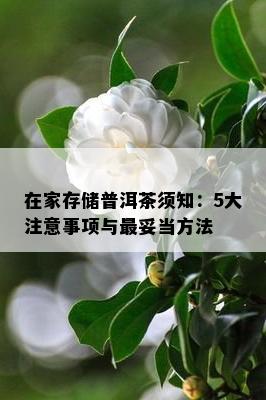 在家存储普洱茶须知：5大注意事项与最妥当方法