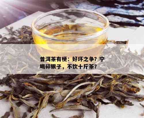 普洱茶有梗：好坏之争？宁喝碎银子，不饮十斤茶？