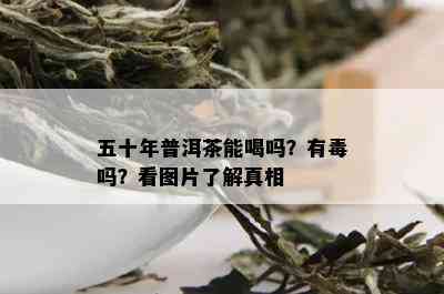 五十年普洱茶能喝吗？有吗？看图片了解真相