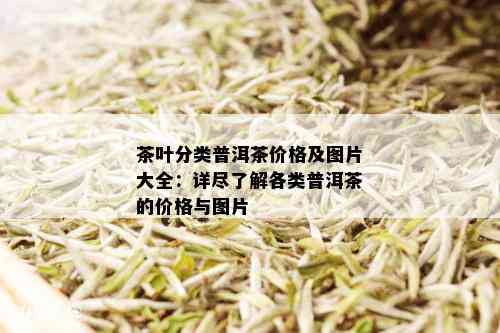 茶叶分类普洱茶价格及图片大全：详尽了解各类普洱茶的价格与图片