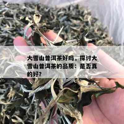 大雪山普洱茶好吗，探讨大雪山普洱茶的品质：是否真的好？