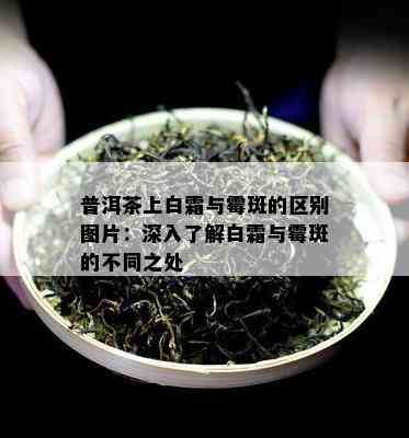 普洱茶上白霜与霉斑的区别图片：深入了解白霜与霉斑的不同之处