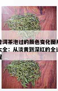 普洱茶泡过的颜色变化图片大全：从淡黄到深红的全过程