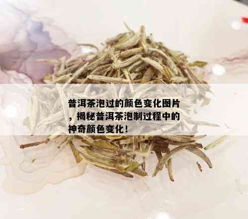 普洱茶泡过的颜色变化图片，揭秘普洱茶泡制过程中的神奇颜色变化！