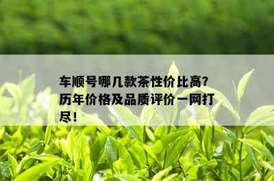 车顺号哪几款茶性价比高？历年价格及品质评价一网打尽！