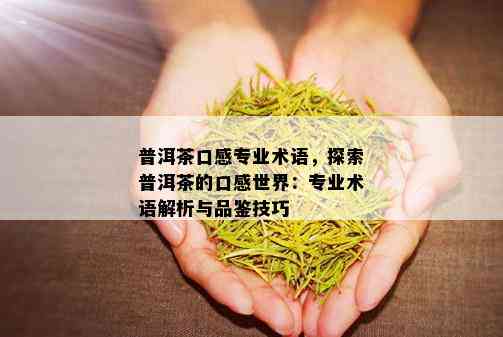 普洱茶口感专业术语，探索普洱茶的口感世界：专业术语解析与品鉴技巧