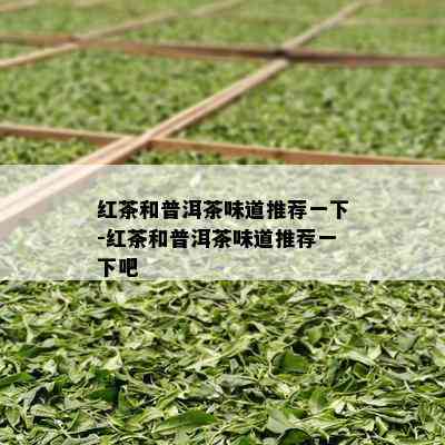 红茶和普洱茶味道推荐一下-红茶和普洱茶味道推荐一下吧