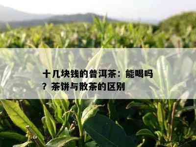 十几块钱的普洱茶：能喝吗？茶饼与散茶的区别