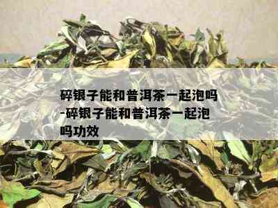 碎银子能和普洱茶一起泡吗-碎银子能和普洱茶一起泡吗功效