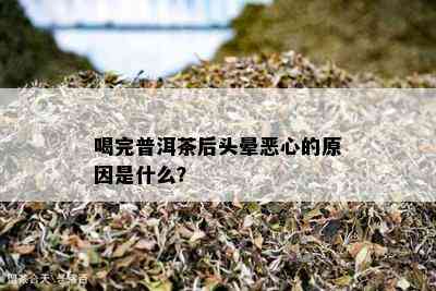 喝完普洱茶后头晕恶心的原因是什么？