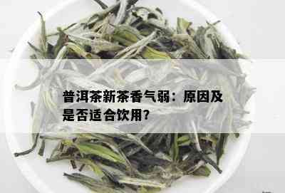 普洱茶新茶香气弱：原因及是否适合饮用？