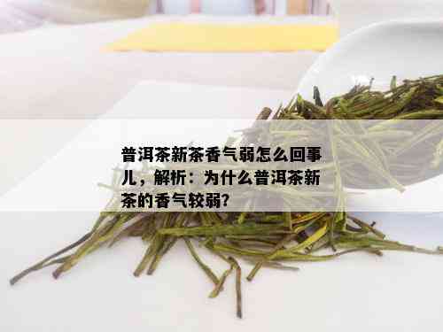 普洱茶新茶香气弱怎么回事儿，解析：为什么普洱茶新茶的香气较弱？