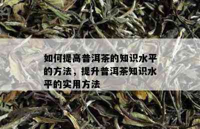 如何提高普洱茶的知识水平的方法，提升普洱茶知识水平的实用方法