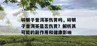 碎银子普洱茶伤胃吗，碎银子普洱茶是否伤胃？解析其可能的副作用和健康影响