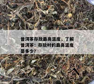 普洱茶存放更高温度，了解普洱茶：存放时的更高温度是多少？