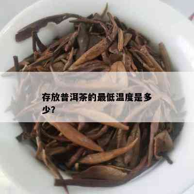 存放普洱茶的更低温度是多少？