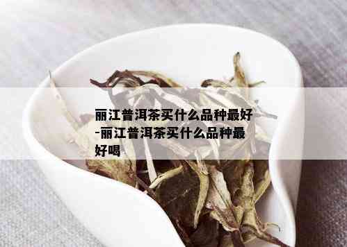 丽江普洱茶买什么品种更好-丽江普洱茶买什么品种更好喝