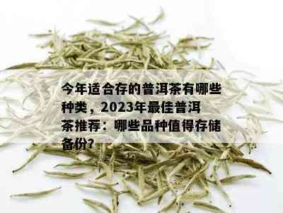 今年适合存的普洱茶有哪些种类，2023年更佳普洱茶推荐：哪些品种值得存储备份？