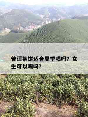 普洱茶饼适合夏季喝吗？女生可以喝吗？