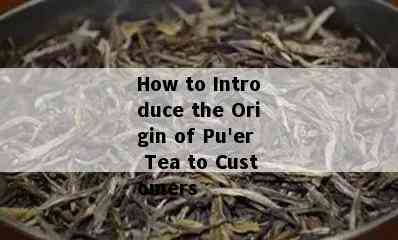 How to Introduce the Origin of Pu'er Tea to Customers