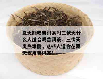 夏天能喝普洱茶吗三伏天什么人适合喝普洱茶，三伏天炎热难耐，这些人适合在夏天饮用普洱茶！