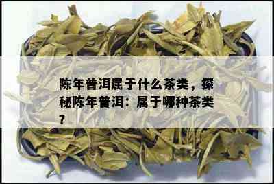 陈年普洱属于什么茶类，探秘陈年普洱：属于哪种茶类？