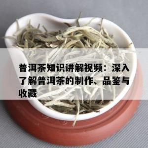 普洱茶知识讲解视频：深入了解普洱茶的制作、品鉴与收藏