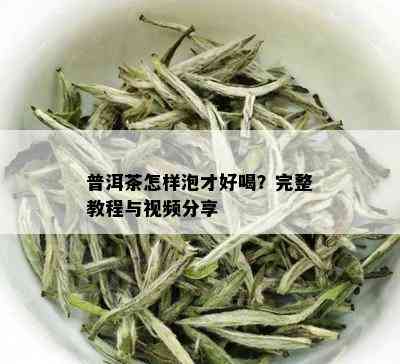 普洱茶怎样泡才好喝？完整教程与视频分享