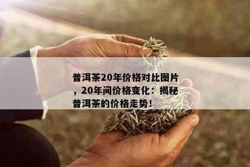 普洱茶20年价格对比图片，20年间价格变化：揭秘普洱茶的价格走势！