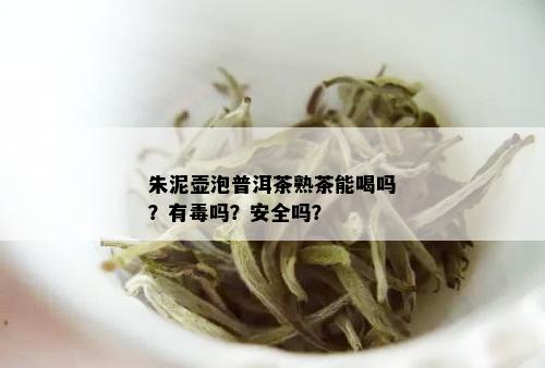 朱泥壶泡普洱茶熟茶能喝吗？有吗？安全吗？