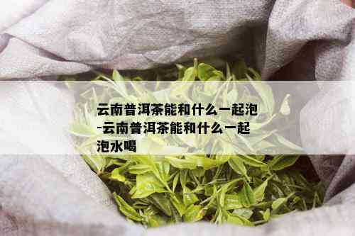 云南普洱茶能和什么一起泡-云南普洱茶能和什么一起泡水喝