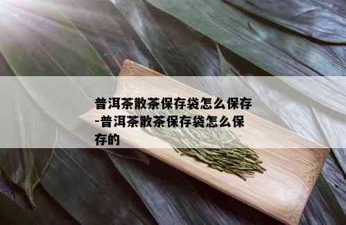 普洱茶散茶保存袋怎么保存-普洱茶散茶保存袋怎么保存的