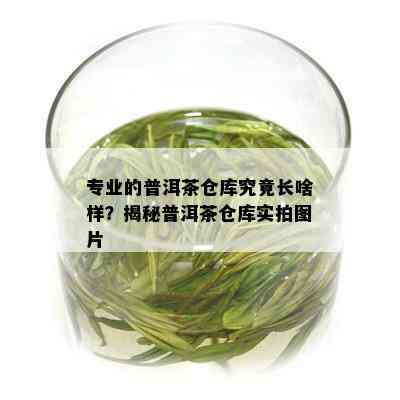 专业的普洱茶仓库究竟长啥样？揭秘普洱茶仓库实拍图片