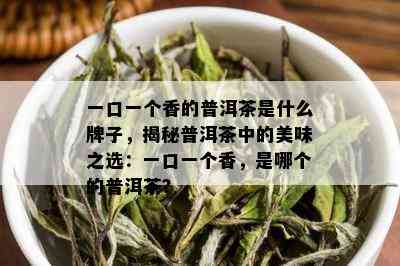 一口一个香的普洱茶是什么牌子，揭秘普洱茶中的美味之选：一口一个香，是哪个的普洱茶？