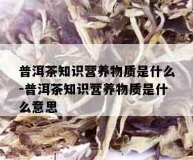 普洱茶知识营养物质是什么-普洱茶知识营养物质是什么意思