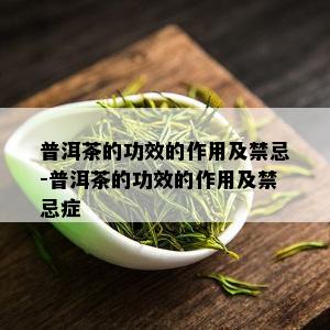 普洱茶的功效的作用及禁忌-普洱茶的功效的作用及禁忌症