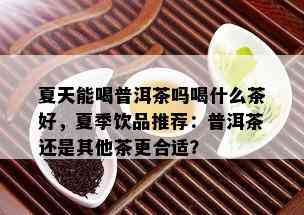 夏天能喝普洱茶吗喝什么茶好，夏季饮品推荐：普洱茶还是其他茶更合适？