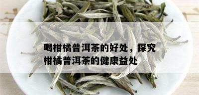 喝柑橘普洱茶的好处，探究柑橘普洱茶的健康益处