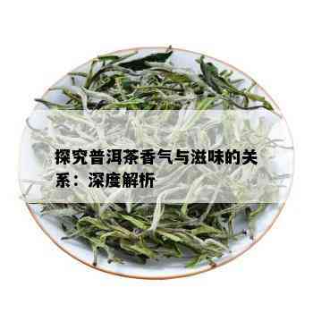 探究普洱茶香气与滋味的关系：深度解析