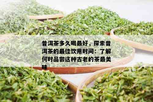 普洱茶多久喝更好，探索普洱茶的更佳饮用时间：了解何时品尝这种古老的茶最美味