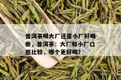 普洱茶喝大厂还是小厂好喝些，普洱茶：大厂和小厂口感比较，哪个更好喝？