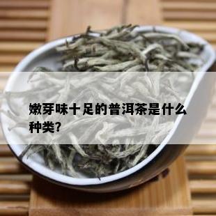 嫩芽味十足的普洱茶是什么种类？