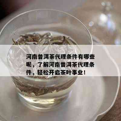 河南普洱茶代理条件有哪些呢，了解河南普洱茶代理条件，轻松开启茶叶事业！