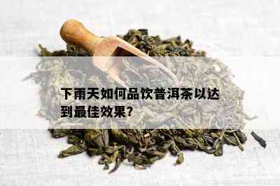 下雨天如何品饮普洱茶以达到更佳效果？