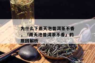 为什么下雨天泡普洱茶不香，「雨天泡普洱茶不香」的原因解析