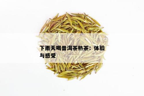 下雨天喝普洱茶熟茶：体验与感受