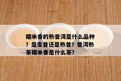 糯米香的熟普洱是什么品种？是生普还是熟普？普洱熟茶糯米香是什么茶？