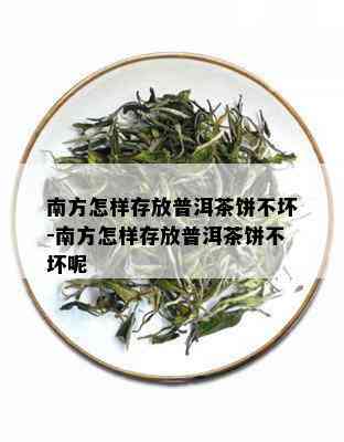 南方怎样存放普洱茶饼不坏-南方怎样存放普洱茶饼不坏呢