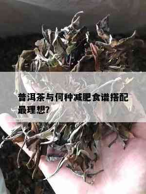 普洱茶与何种减肥食谱搭配最理想？